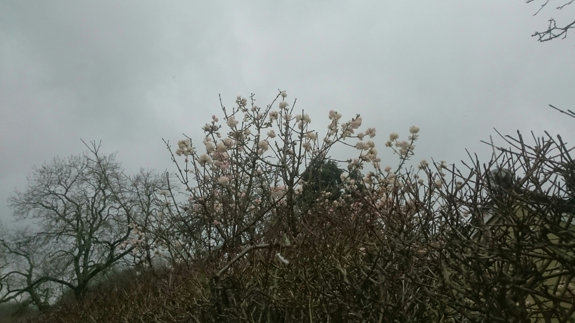 wp-1451260479564 image