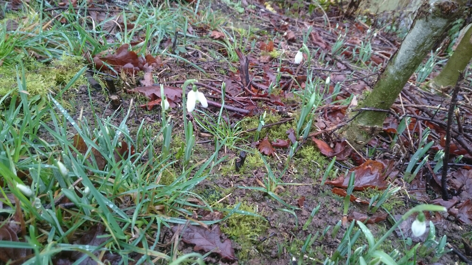 wp-1451260543785 image