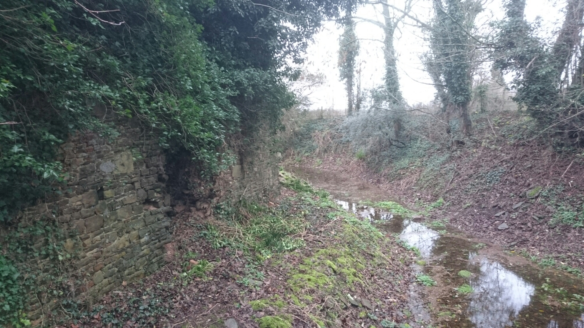 wp-1451085864489 image