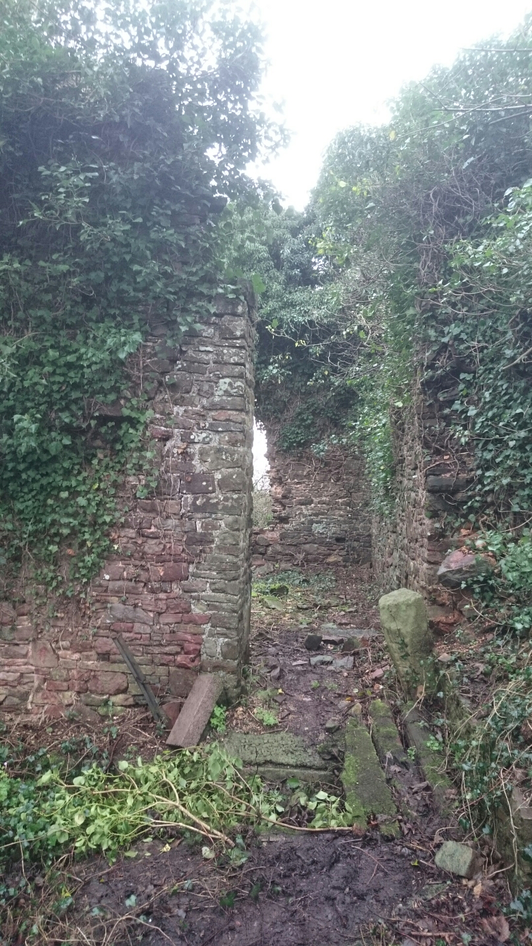 wp-1451085930755 image