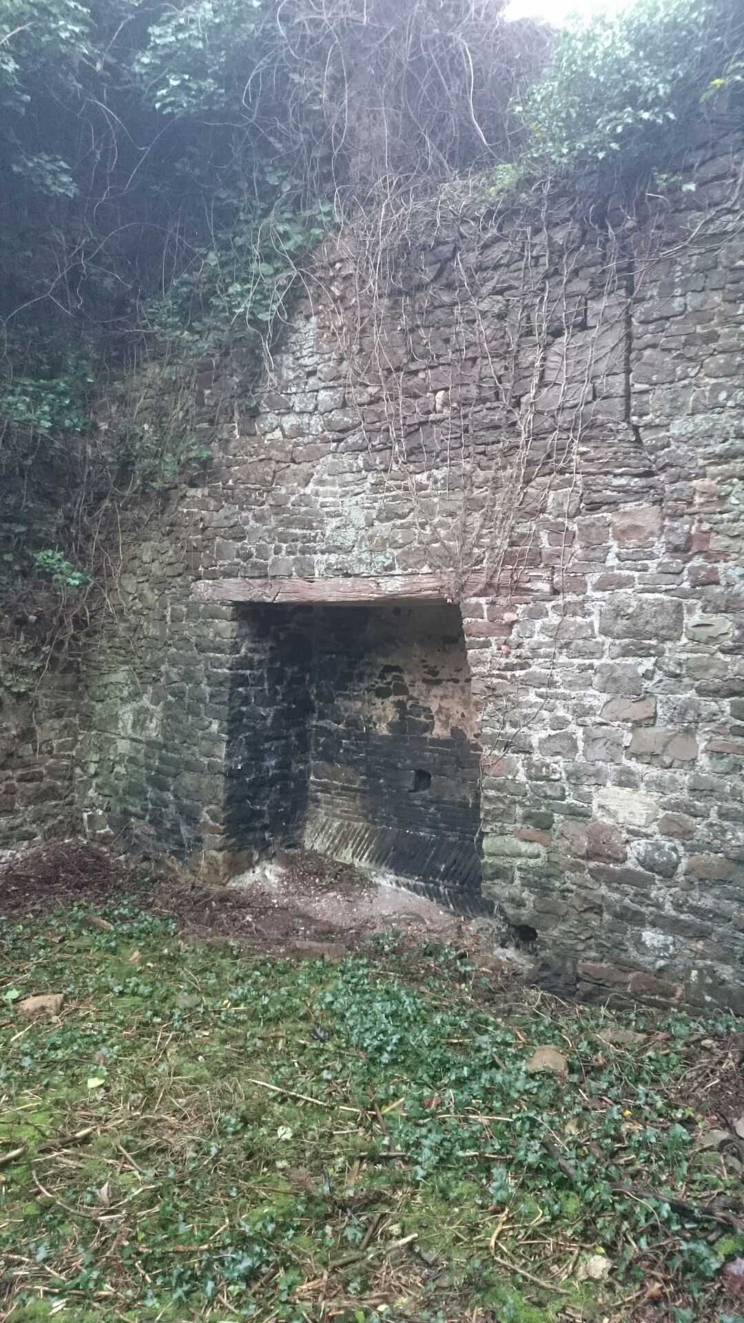 wp-1451085957771 image