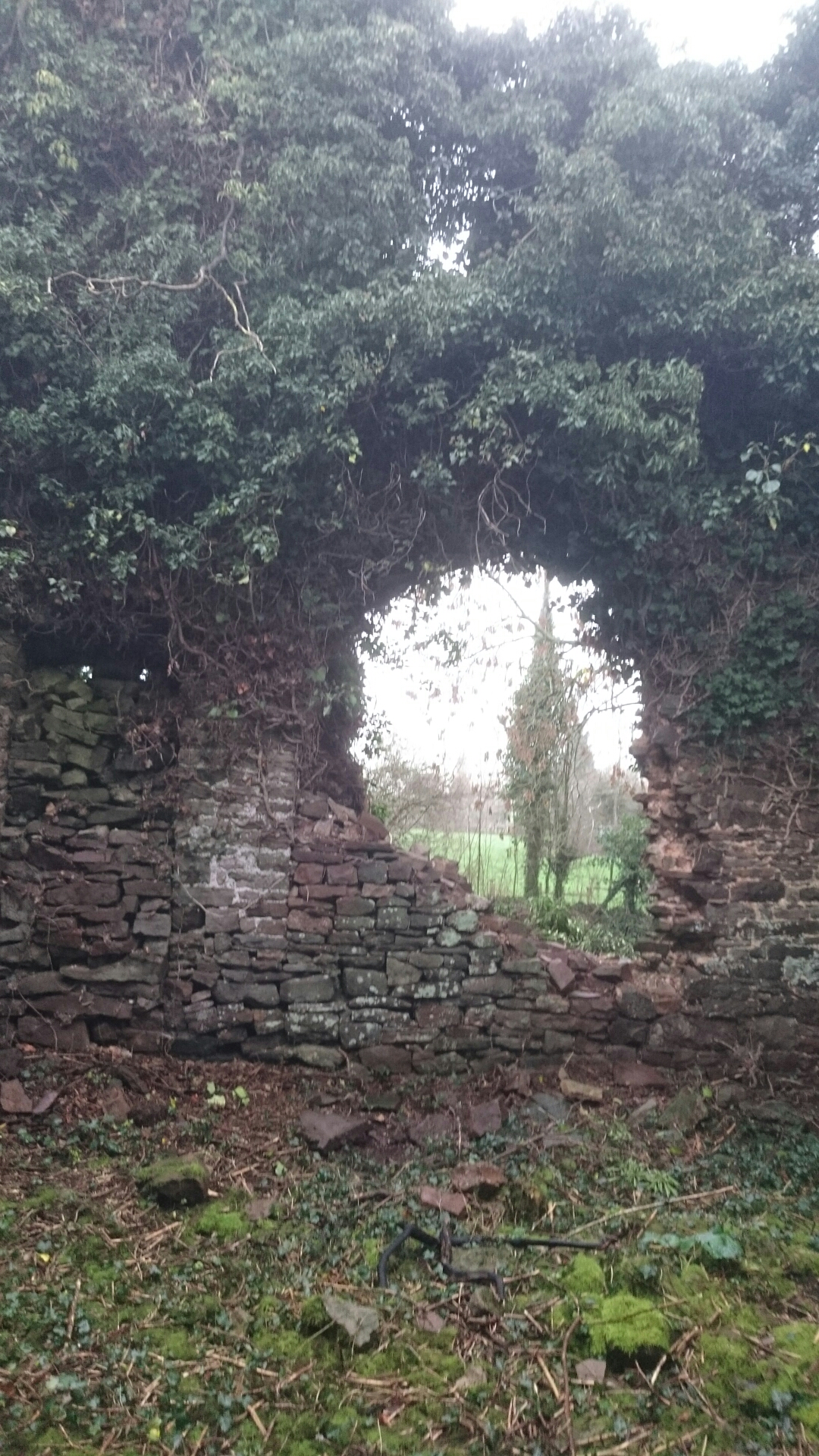 wp-1451085970157 image